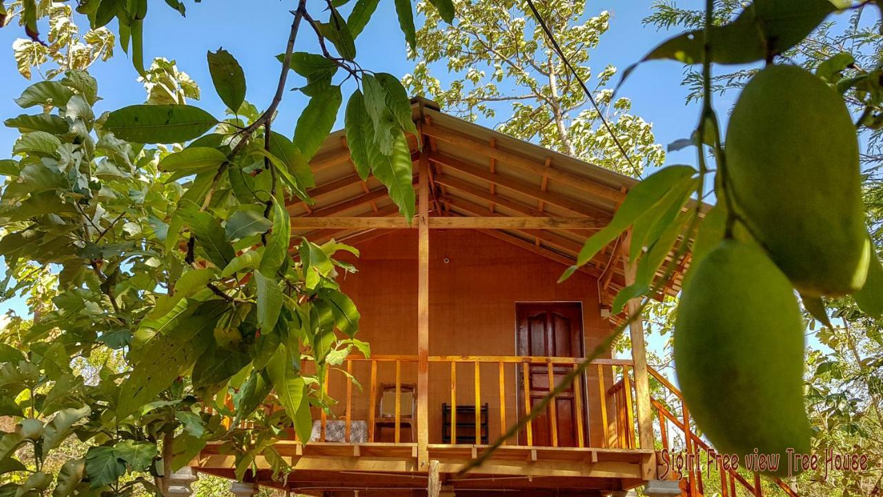 Sigiriya Free View Tree House & Villa Exteriér fotografie