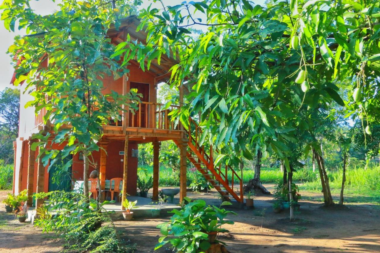 Sigiriya Free View Tree House & Villa Exteriér fotografie