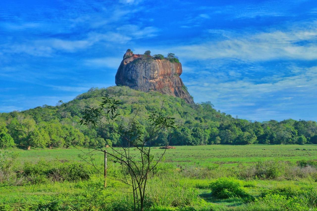 Sigiriya Free View Tree House & Villa Exteriér fotografie