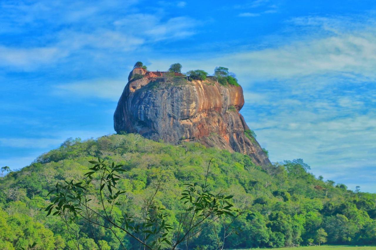 Sigiriya Free View Tree House & Villa Exteriér fotografie